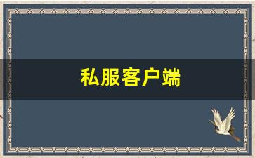 热血sf：私服客户端 (3)
