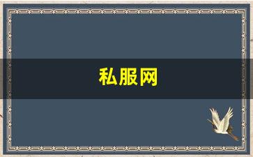 私服网(手游私sf平台) (13)