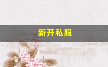 热血江湖私副：新开私服(传奇新开服网站大