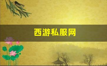 西游私服网(西游公益服) (3)