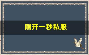 私服发布站：刚开一秒私服(今日刚开一秒传