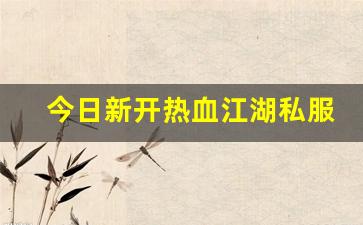 热血江湖师傅：今日新开热血江湖私服 (9