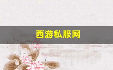 西游私服网(西游网游戏大厅) (4)