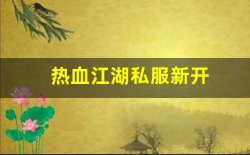 热血江湖私服新开 (7)