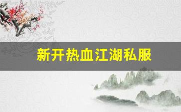热血江湖工具箱：新开热血江湖私服 (13