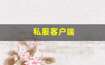 私服客户端 (9)