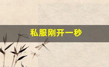 师傅热血江湖：私服刚开一秒(新开一秒传奇