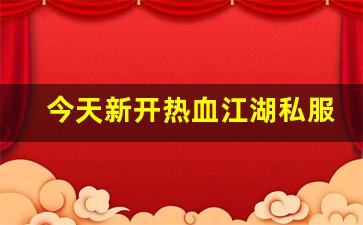 今天新开热血江湖私服 (16)