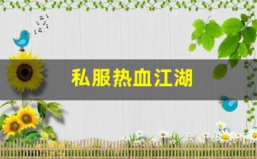 最新开热血江湖私服：私服热血江湖(热血江