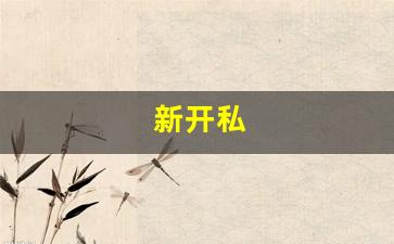 刚开一秒私服：新开私(新开私人影院)