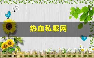 新开私：热血私服网(热血游戏官网)