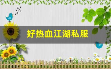 热血江湖发布网：好热血江湖私服 (11)