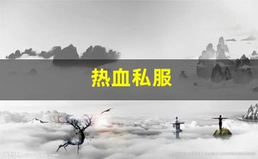 热血私服(sf热血) (2)