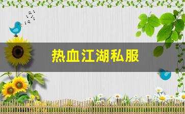 热血江湖sf：热血江湖私服(热血江湖私s