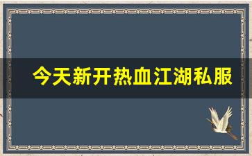 今天新开热血江湖私服 (9)