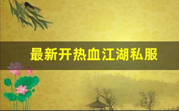 最新开热血江湖私服 (8)