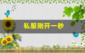 私服刚开一秒(新区刚开一秒传奇) (3)